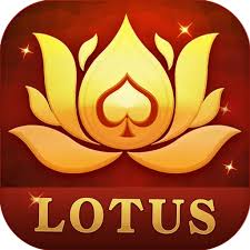 teen patti activity download